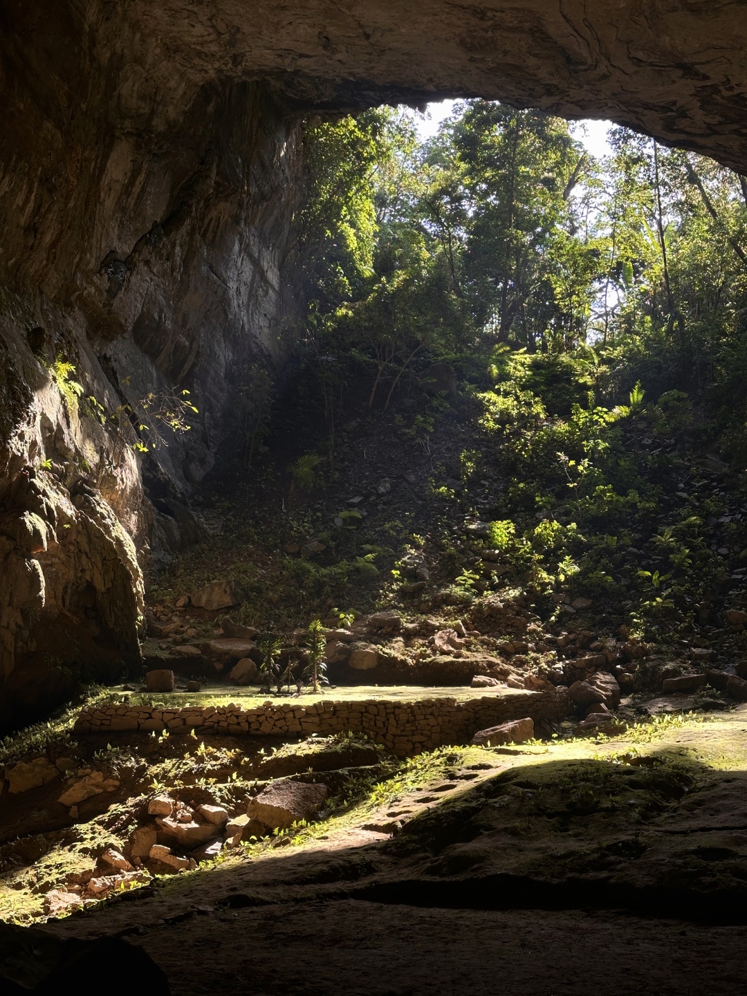 Cueva naturaleza